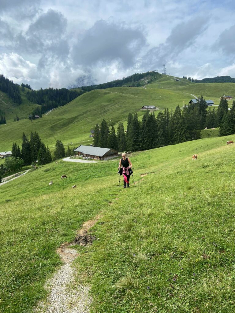 Wandelen met stokken