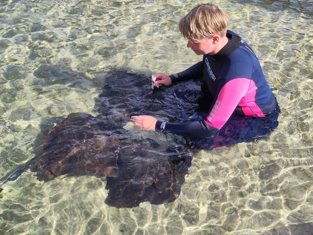 Alissa in het water met roggen die zij aan het voeren is.